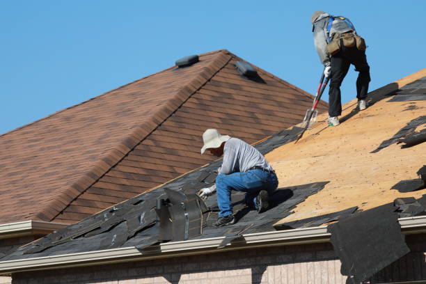 Best Chimney Flashing Repair  in Cane Savannah, SC