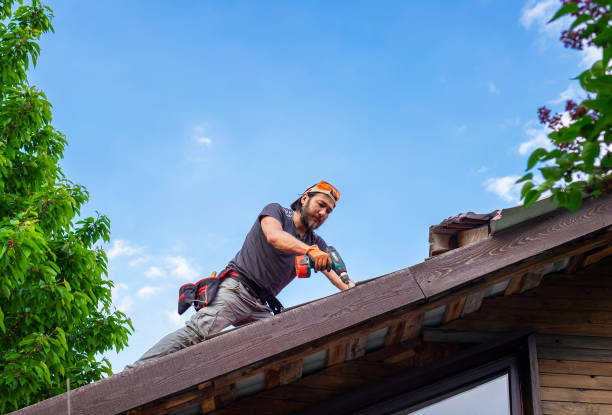 Best Roof Leak Repair  in Cane Savannah, SC