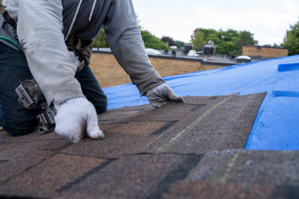 Best Roof Insulation Installation  in Cane Savannah, SC
