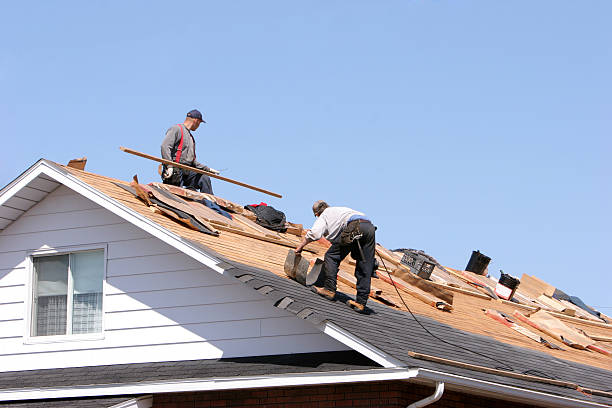 Best Roof Maintenance and Cleaning  in Cane Savannah, SC